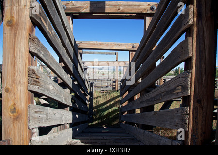 Historischen Magdalena Lager Stifte, verwendet in Cattle Drives Stockfoto