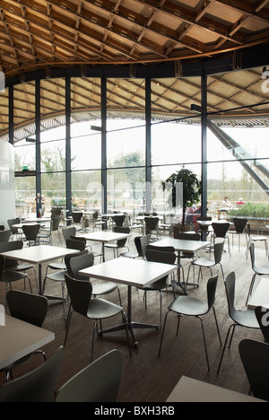 Gridshell Holz Dach aus erneuerbaren Quellen in der Kantine von Savill Gebäude, Windsor Park, Berkshire, Großbritannien aus. Stockfoto