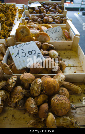 Pilze im Inneren Mercato di Sant' Ambrogio Markt zentrale Florenz (Firenze) Tuscany Italien Mitteleuropa Stockfoto