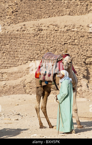 Ägypten, Sakkara. Arabische Mann und Kamel auf der abgestuften Stufenpyramide von Sakkara oder Sakkara. Stockfoto