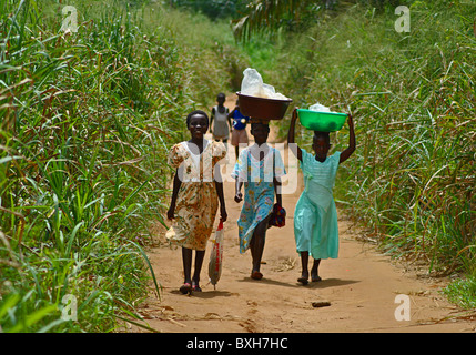 Mädchen Fuß über einen Feldweg durch Elefantengras in der Elfenbeinküste, Westafrika Stockfoto