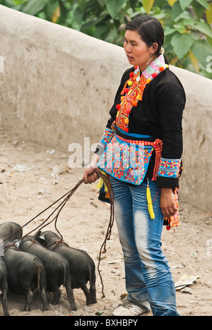 Asien, China, Yunnan, Honghe Präfektur, Jinping. Red Head Yao Frau verkaufen Schweine am Markttag. Stockfoto