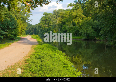 Ein Weg im park Stockfoto