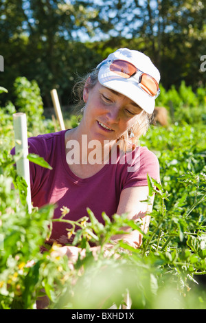 Porträt einer Frau, die Arbeit in einem Gemeinschaftsgarten. Seattle, WA, USA Stockfoto