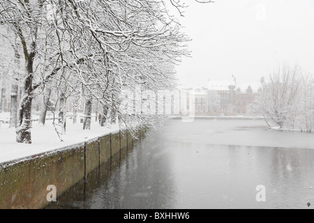 Park in der Nähe von niederländischen Parlament Binnenhof, Winter Schnee, den Haag, Niederlande, Holland, Europa Stockfoto