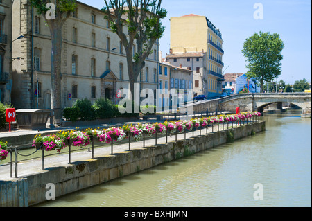 Blumen auf dem Canal De La Robine in Narbonne Frankreich Stockfoto