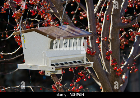 Eine Vogelzufuhr voller Sonnenblumenkerne hängt von einem crabapple Baum voller Früchte im Dezember. USA Stockfoto