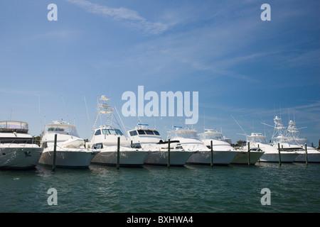 Luxus-Cruiser im Hafen von Anna Maria Island, Florida Sunshine State, Vereinigte Staaten von Amerika Stockfoto