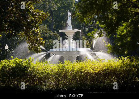 Brunnen im historischen Forsyth Park in Savannah, Georgia, USA. Stockfoto