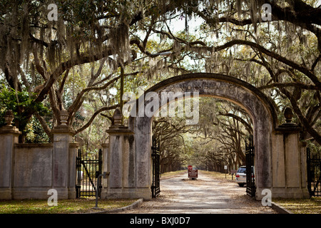 Tor an der stattlichen Eichen-Allee auf Wormsloe Plantage in Savannah, Georgia, USA. Stockfoto