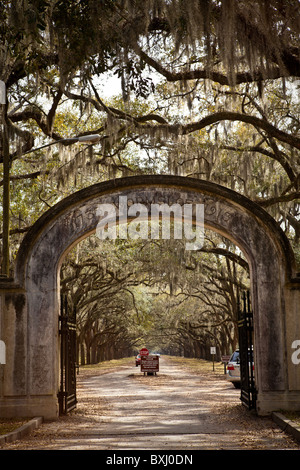 Tor an der stattlichen Eichen-Allee auf Wormsloe Plantage in Savannah, Georgia, USA. Stockfoto