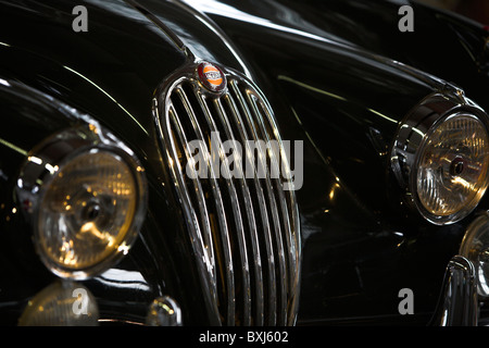 Jaguar XK 140 Kühlergrill und Abzeichen vorne Detail Stockfoto