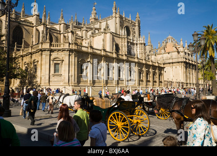 Plaza del Triunfo mit Touristen, Pferd Wagen / Kutschen und Alltag & südlich der Kathedrale von Sevilla. Sevilla, Spanien. Stockfoto