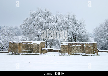 Limetten-Tür bei Dalkingen Stockfoto