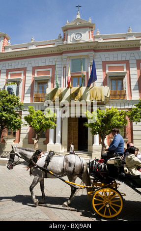 Traber zieht Kutsche & Touristen. Plaza del Triunfo, vorne Diputacion de Sevilla, Casa De La Provincia. Sevilla Spanien Stockfoto