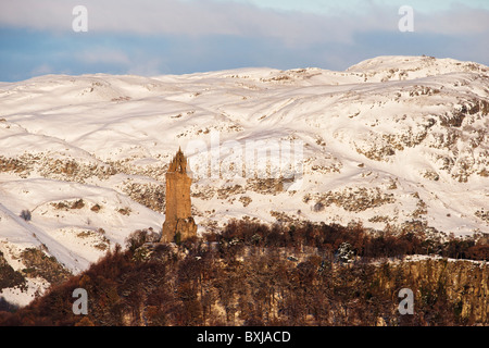 Das National Wallace Monument von Stirling Castle Esplanade, Stirling, Schottland, Großbritannien. Stockfoto