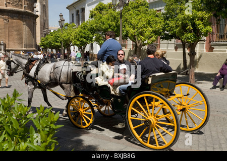 Pferd im Trab zieht Kutsche & Touristen / Tourist Familiengruppe. Plaza del Triunfo, vor Sevilla Kathedrale. Sevilla, Spanien. Stockfoto