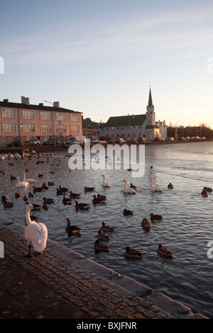 Fríkirkjan Kirche in der Ferne Tjörnin-Sees im Zentrum von Reykjavik, Hauptstadt von Island. Foto: Jeff Gilbert Stockfoto