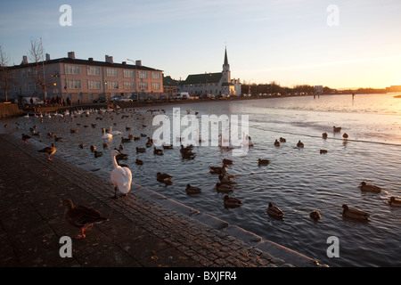 Fríkirkjan Kirche in der Ferne Tjörnin-Sees im Zentrum von Reykjavik, Hauptstadt von Island. Foto: Jeff Gilbert Stockfoto