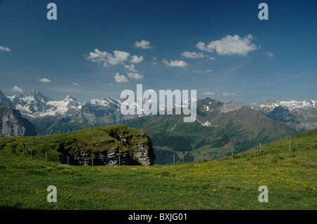 Berge und Wiesen gesehen aus männlichen, Berner Oberland, Schweiz, Europa Stockfoto