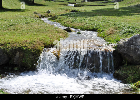 Bach in den Wiesen von grünem Rasen umgeben von Trentino-Südtirol Stockfoto