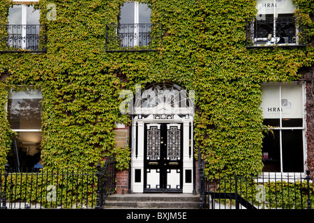 Efeu bedeckt Georgian House in Dublin Irland Stockfoto