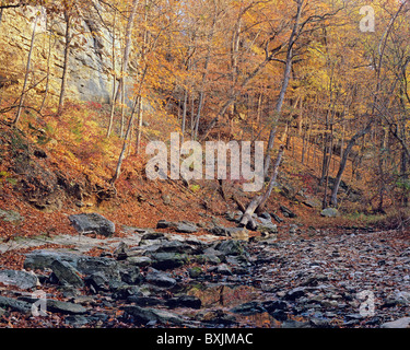 Herbst am Gans Creek im Rock Brücke State Park, Missouri, USA Stockfoto