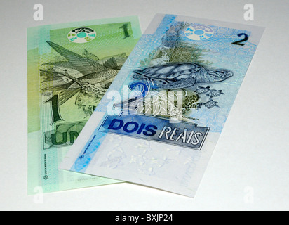 Brasilien Banknoten Brasil Real. Stockfoto