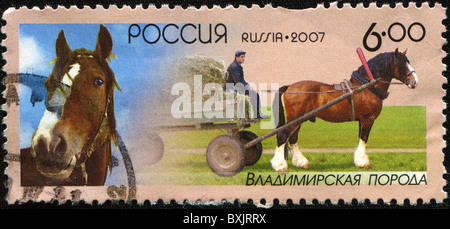 Russland - CIRCA 2007: Eine Briefmarke gedruckt in Russland zeigt Wladimir schwerer Entwurf, ca. 2007 Stockfoto
