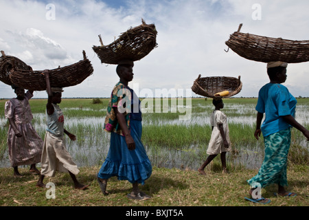 Frauen gehen mit Körben auf ihren Köpfen an den Ufern des Sees Kyoga, in der Nähe von Soroti in Uganda, Ostafrika. Stockfoto