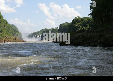 Teil [Iguassu Falls] [Iguazu Wasserfälle] zeigt Katarakte und [Rio Iguazu minderwertig] von argentinischen Seite Stockfoto