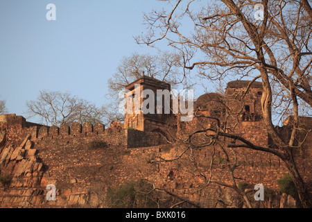 Fort, Ranthambhore National Park, Rajasthan, Indien, Asien Stockfoto