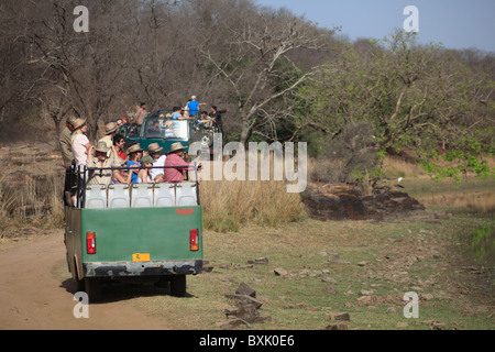 Safari Trucks, Ranthambhore National Park, Rajasthan, Indien, Asien Stockfoto