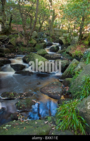 Burbage Brook in Padley Schlucht, Peak District Stockfoto