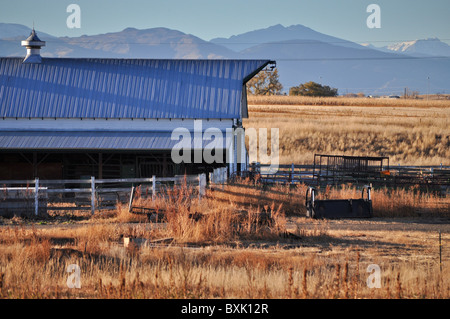 Scheune Stockfoto