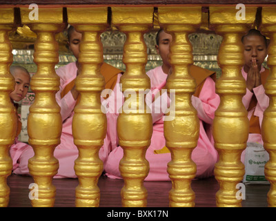 Buddhistische Nonnen an Shwedagon Paya, Rangun, Yangon, Birma, Manadalay beten Stockfoto