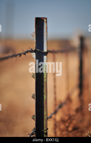 Stacheldraht-Zaun Stockfoto