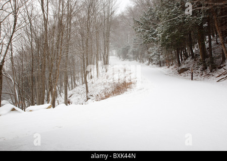 Franconia Notch State Park - Flume Gorge Scenic Area in Lincoln, New Hampshire USA während eines Schneesturms. Schneetreiben ersichtlich Stockfoto