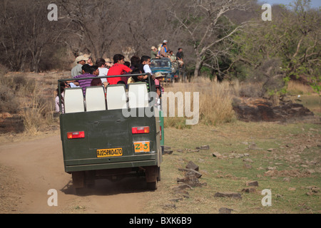 Safari Trucks, Ranthambhore National Park, Rajasthan, Indien, Asien Stockfoto