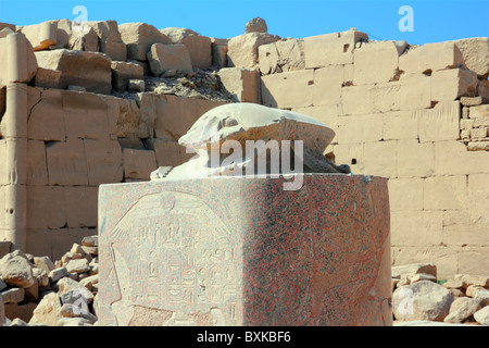 Altes Ägypten-Scarabaeus-Denkmal im Karnak-Tempel Stockfoto