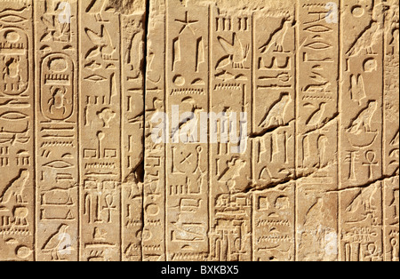 alten Ägypten Hieroglyphen auf Wand in Karnak-Tempel Stockfoto