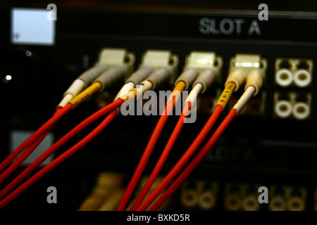 Fibre optic Verbindungen auf eine Glasfaser-Internet-Router. Stockfoto