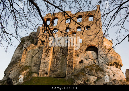 Ogrodzieniec Schloss, schlesischen Voiodeship, Polen Stockfoto