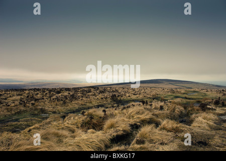 Blick auf Dartmoor von Rippon Tor, Widecombe in das Moor, Devon, England Stockfoto