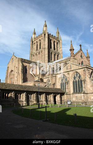 Hereford Stockfoto