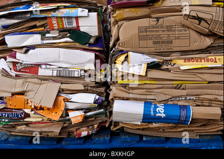 Dicht gepackten Kartons bereit für das recycling. Stockfoto