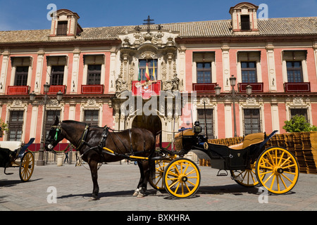 Pferd & leere Wagen wartet auf Touristen. Vor dem erzbischöflichen Palast; Plaza del Triunfo. Sevilla Spanien. Stockfoto