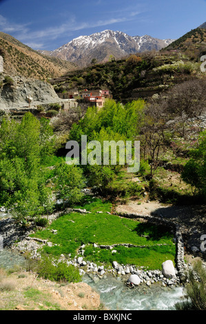 Tal mit Blick auf die Berge, nr Setti Fatma Ourika-Tal Stockfoto