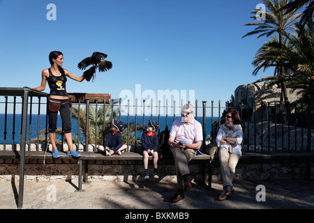 Falconer, Refugio de Rapaces, Peniscola, Valencia, Spanien Stockfoto