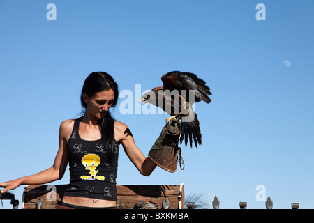 Falconer, Refugio de Rapaces, Peniscola, Valencia, Spanien Stockfoto